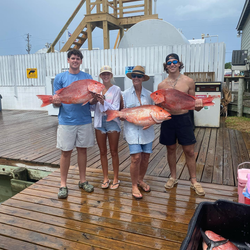 Red Snapper Dauphin Island's fishing paradise